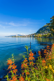 Montreux am Genfersee in der Schweiz/12951835