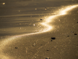 Sunlight/12954717