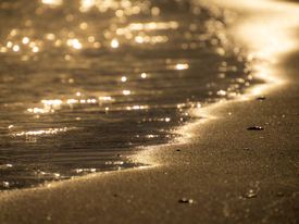 Shimmer/12954718