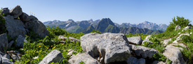 Zwischen rauem Fels und sanftem Grün/12955931