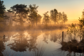 Das Moor zum Sonnenaufgang /12956630