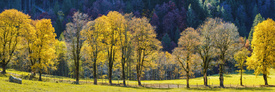 Stille im Dietersbachtal/12957567