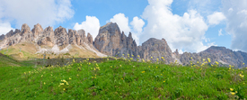 gelbe Alpenanemonen und Cirspitzen südtirol/12957959