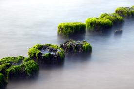 Ostsee Buhnen/12959752