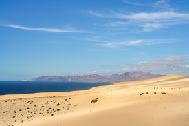 Blick über die Dünen bei Jandia auf Fuerteventura/12960964