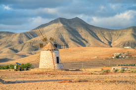 Windmühle in Tefia auf Fuerteventura/12960965