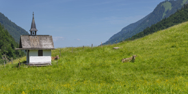 Im Herz des Trettachtals/12960972