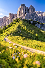 Frühling in den Dolomiten/12962562