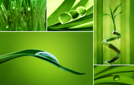 Wassertropfen/12962824