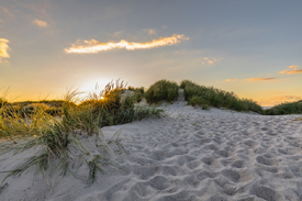 Golden Light on the Horizon/12962826