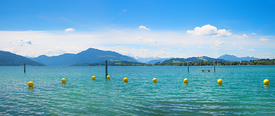 Zugersee Panorama/12962845