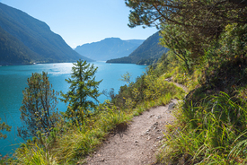 Wanderweg am Westufer Achensee/12963114