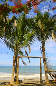 Traumstrand/12964366
