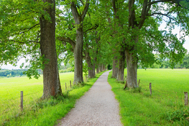 Heldenallee Ebersberg/12964395