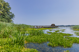 Am Hemmelsdorfer See/12965899