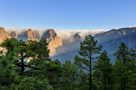 Caldera de Taburiente/12965946