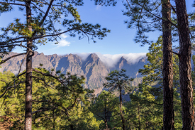 Caldera de Taburiente/12966167