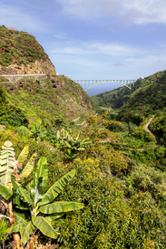 Puente de Los Tilos/12966169