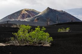 Vulkan Tajogaite auf La Palma/12966419