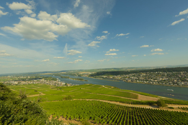 Rüdesheim am Rhein/12967680