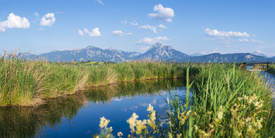 Ostallgäuer Abendruhe/12967692
