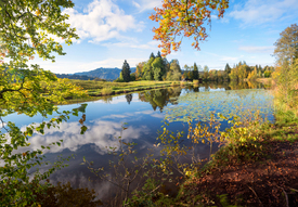Idyllischer Moorweiher Oberstdorf/12970273