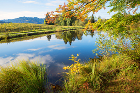Herbsttag am Moorweiher Oberstdorf/12970275