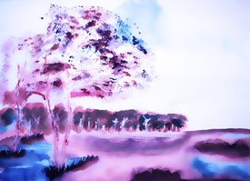 Moorlandschaft/12971563
