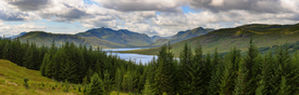Loch Loyne/12971599