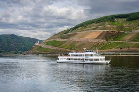 Bingen Rheinpromenade 16/12971824
