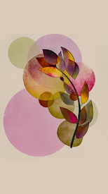 Flower Power/12972051