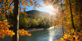 Herbstliches Panorama am Fluss mit Sonne/12972178