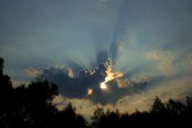 sunrays/11026705