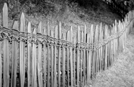 Zaun Südtirol/11555646