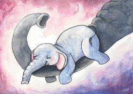Kleiner Elefant/11882086