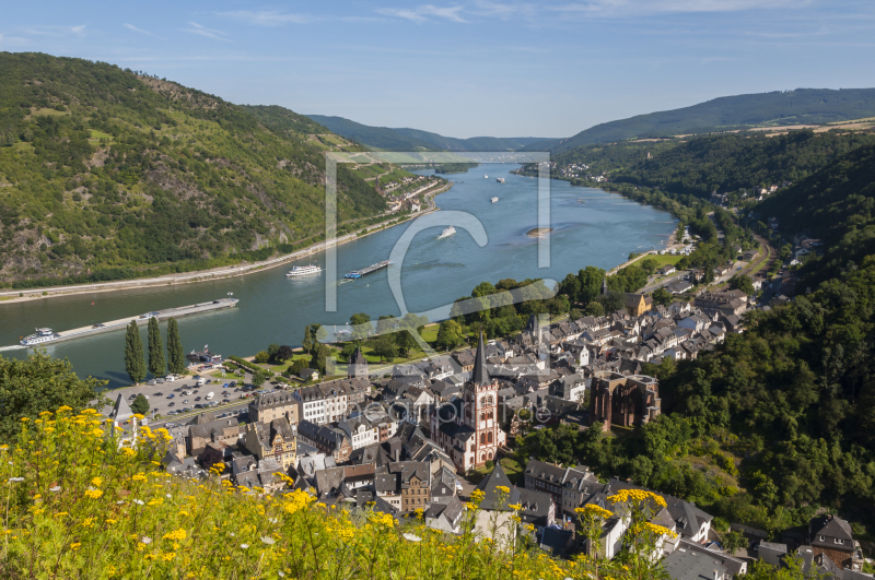 frei wählbarer Bildausschnitt für Ihr Bild auf Fensterfolie