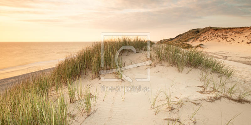 frei wählbarer Bildausschnitt für Ihr Bild auf Fensterfolie