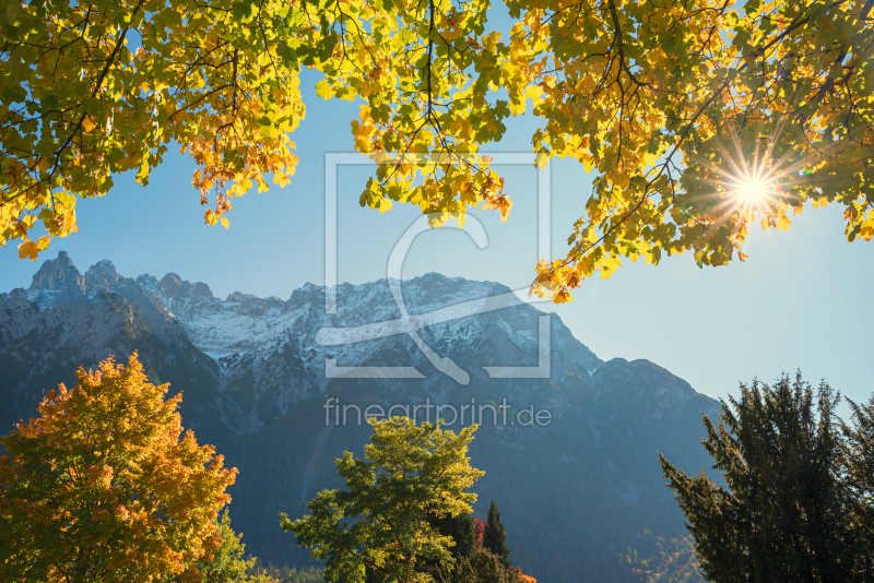 frei wählbarer Bildausschnitt für Ihr Bild auf Fensterfolie