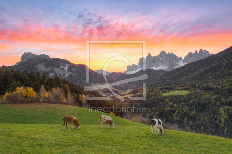 frei wählbarer Bildausschnitt für Ihr Bild auf Fensterfolie