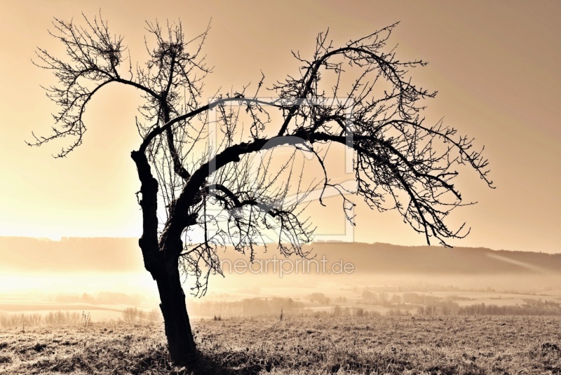 frei wählbarer Bildausschnitt für Ihr Bild auf Fensterfolie
