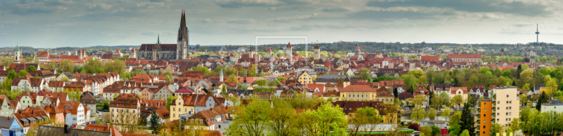 frei wählbarer Bildausschnitt für Ihr Bild auf Fensterfolie