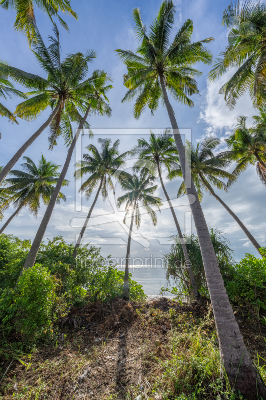 frei wählbarer Bildausschnitt für Ihr Bild auf Fensterfolie