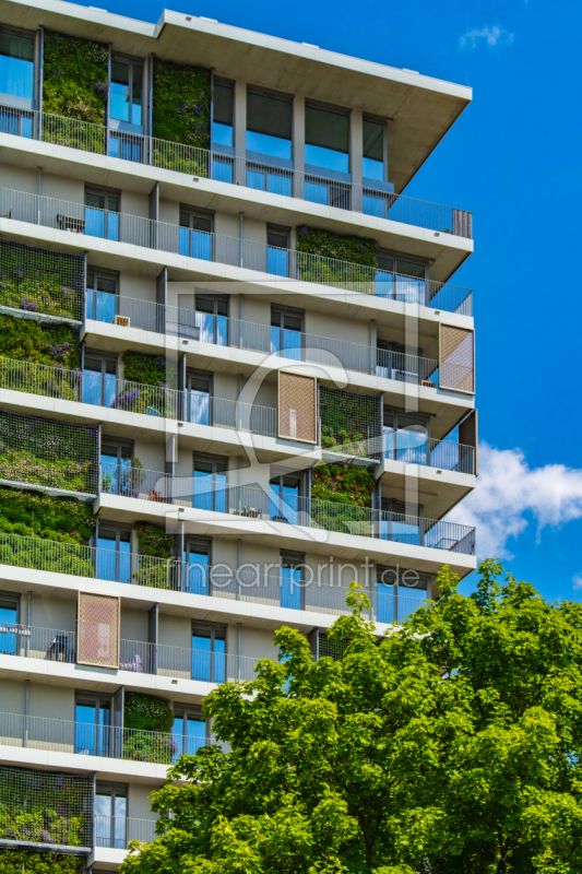 frei wählbarer Bildausschnitt für Ihr Bild auf Fensterfolie