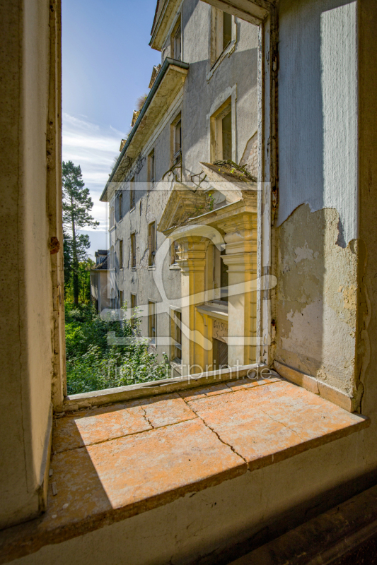 frei wählbarer Bildausschnitt für Ihr Bild auf Fensterfolie