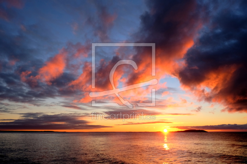 frei wählbarer Bildausschnitt für Ihr Bild auf Fensterfolie