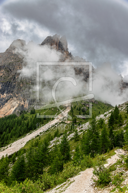 frei wählbarer Bildausschnitt für Ihr Bild auf Fensterfolie