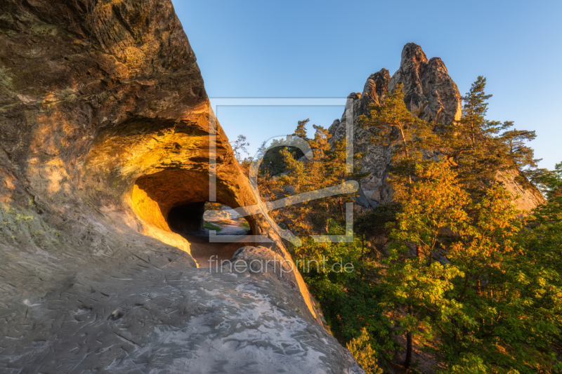 frei wählbarer Bildausschnitt für Ihr Bild auf Fensterfolie