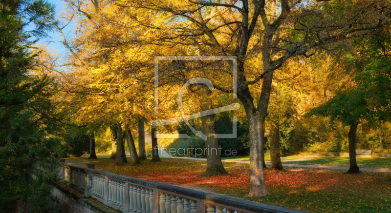 frei wählbarer Bildausschnitt für Ihr Bild auf Fensterfolie