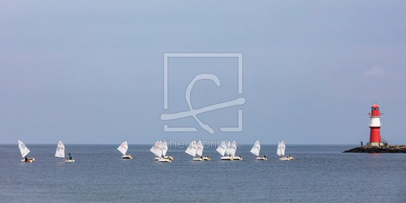 frei wählbarer Bildausschnitt für Ihr Bild auf Fensterfolie