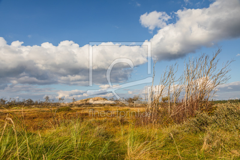 frei wählbarer Bildausschnitt für Ihr Bild auf Fensterfolie